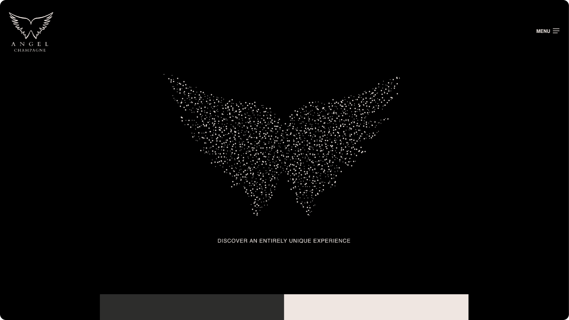 Angel Champagne portfolio image 1