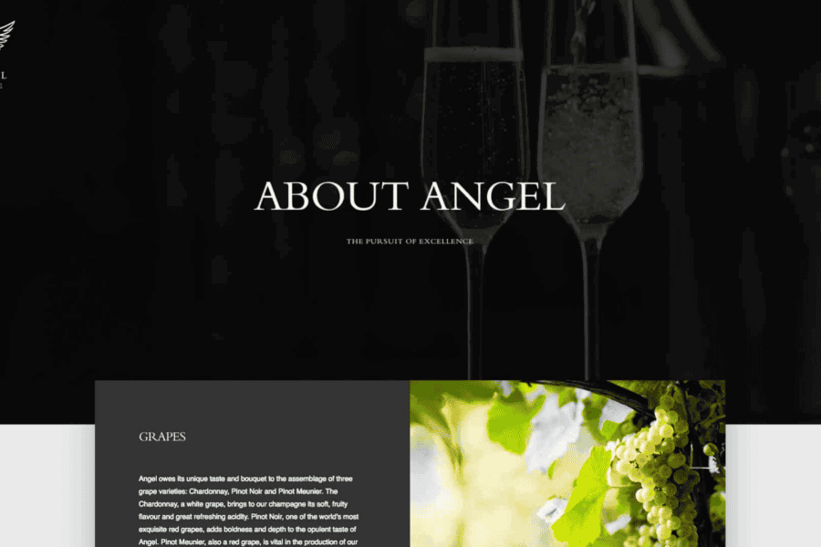 Angel Champagne portfolio image 3