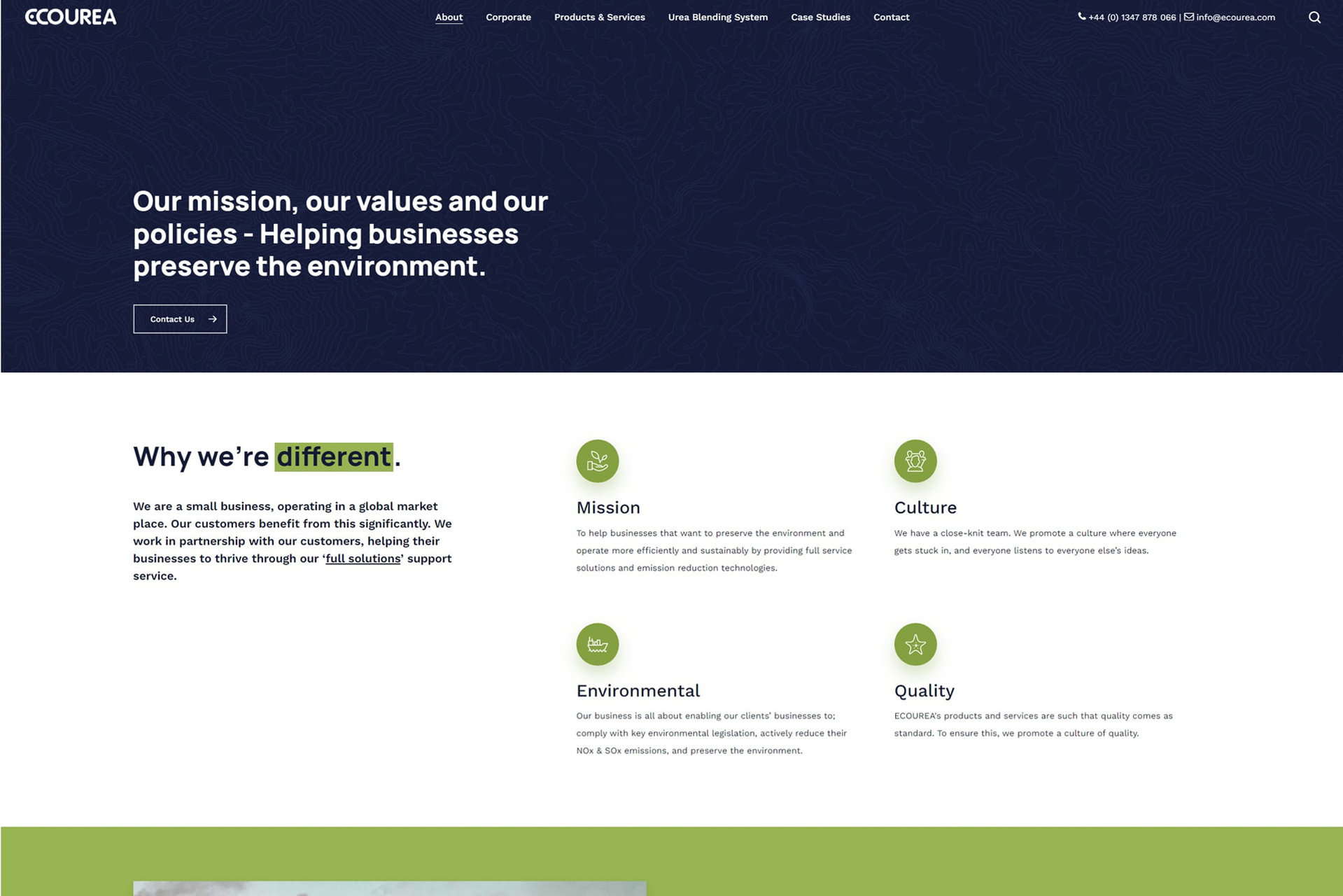 Ecourea portfolio image 2