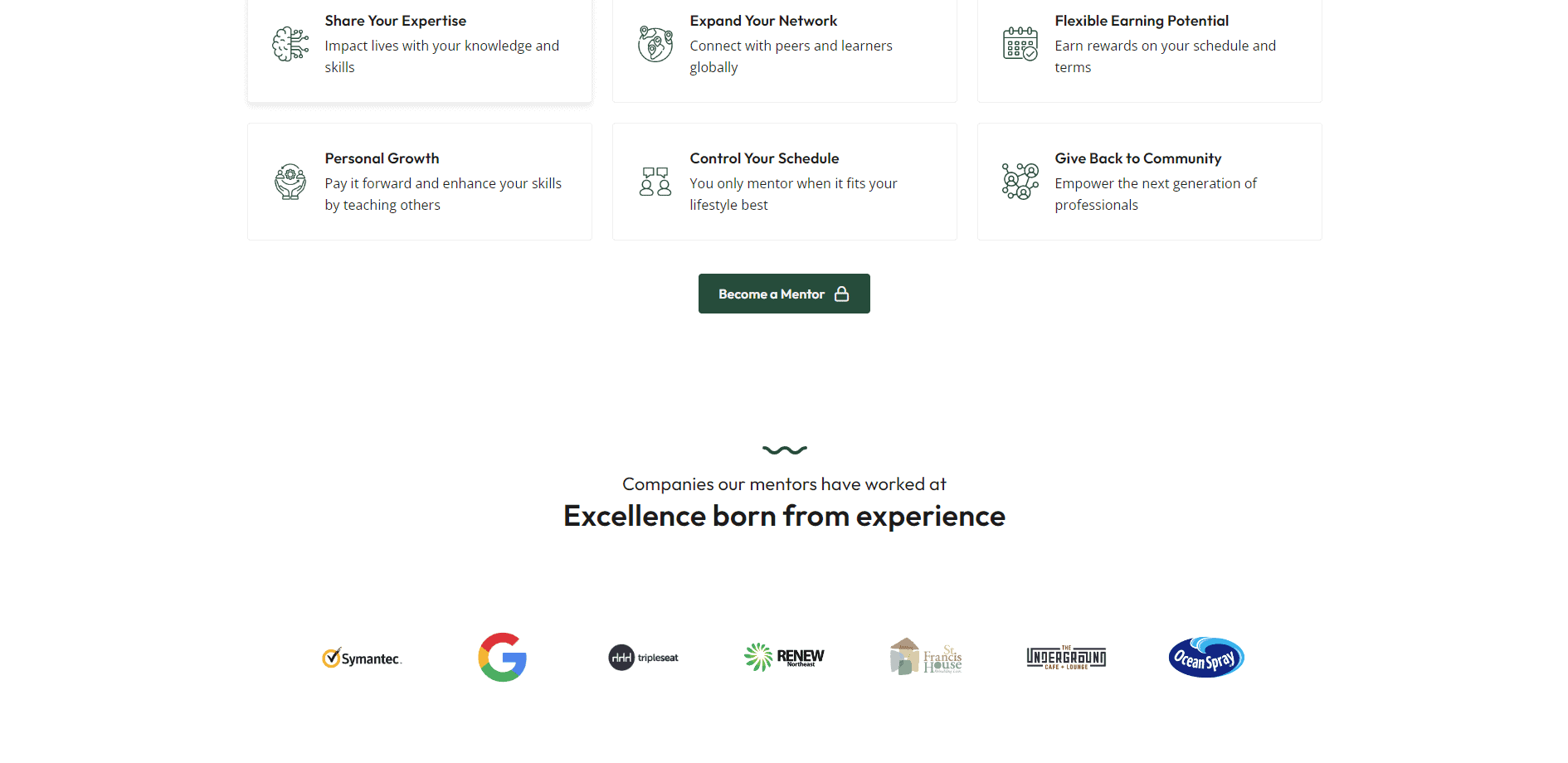 Mentorii portfolio image 2