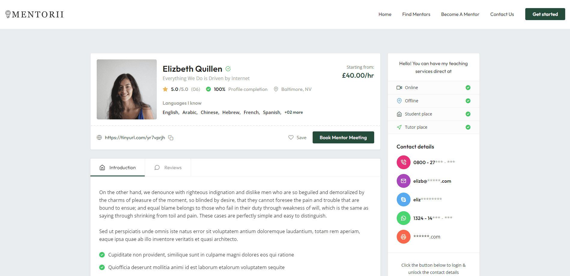 Mentorii portfolio image 4