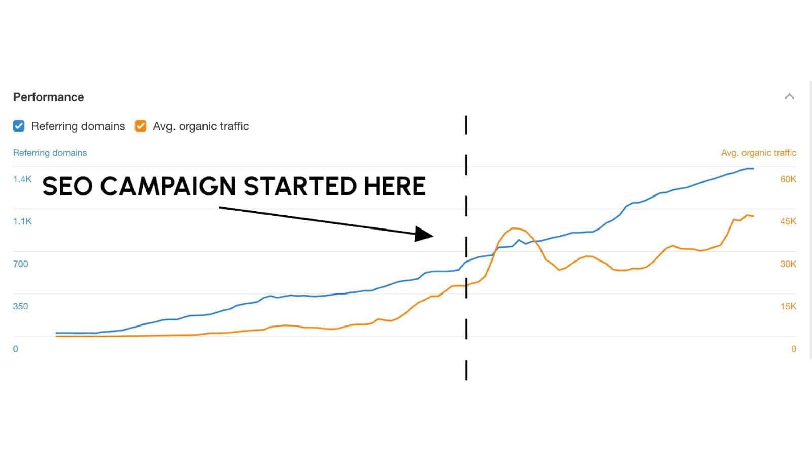 Releaf portfolio image 2