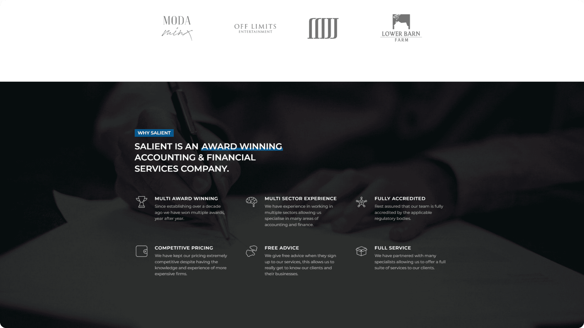 Salient portfolio image 3