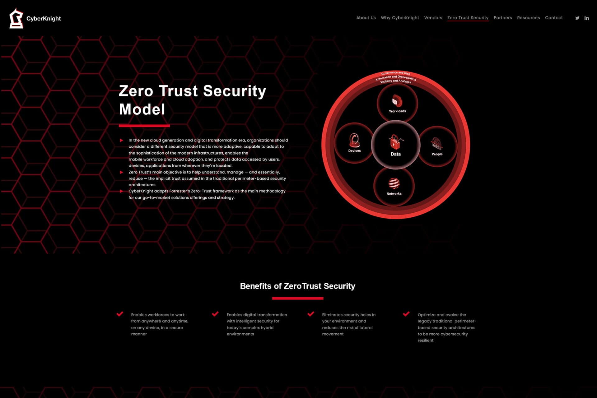 Cyber Knight portfolio image 2